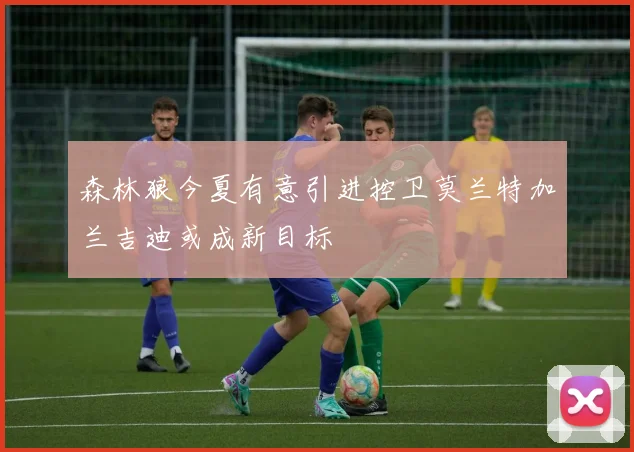 森林狼今夏有意引进控卫莫兰特加兰吉迪或成新目标