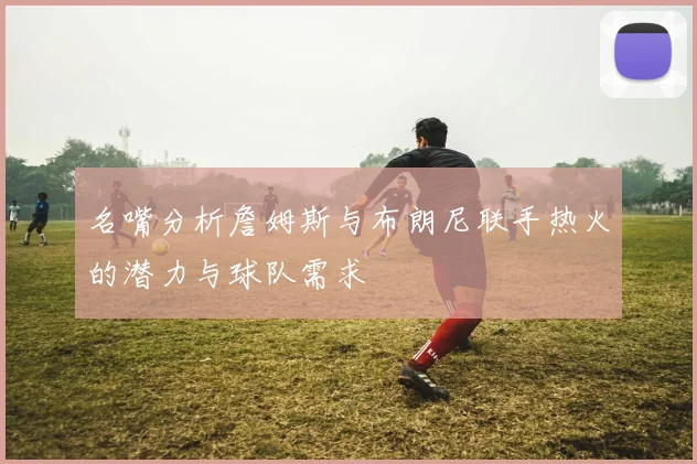 名嘴分析詹姆斯与布朗尼联手热火的潜力与球队需求